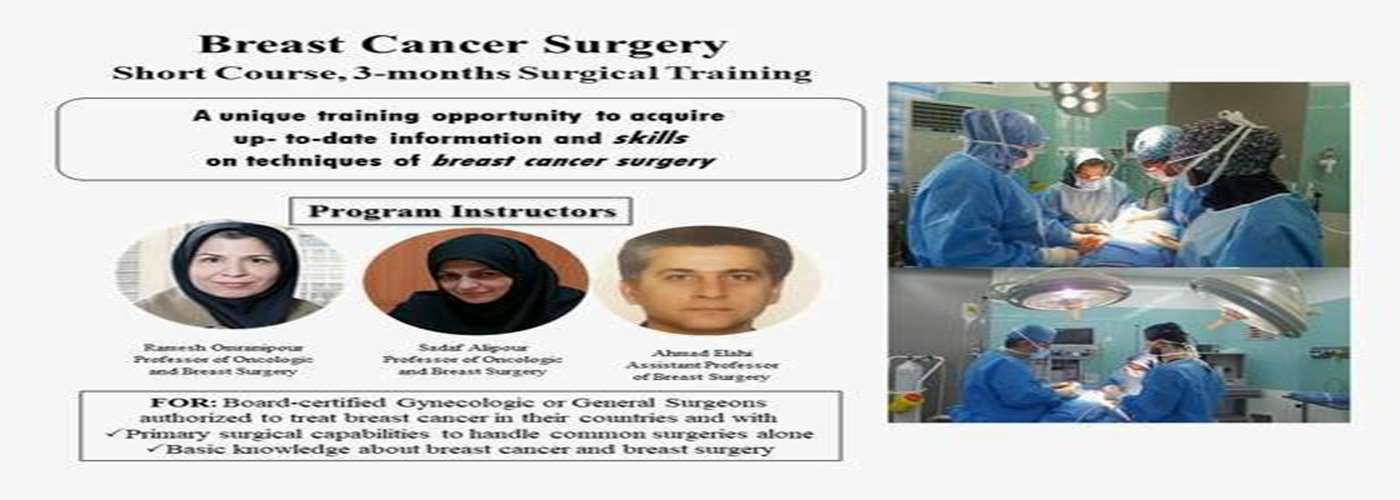 International Breast Cancer Surgery Training Course